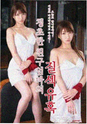 剧集妈妈的房间条目封面